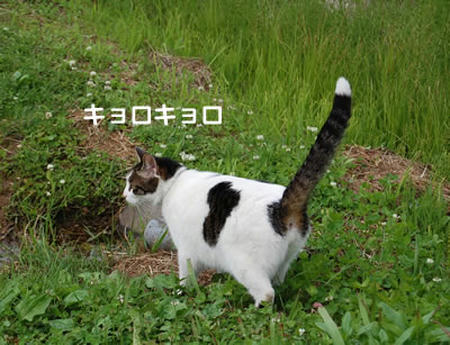 557e8767jpeg