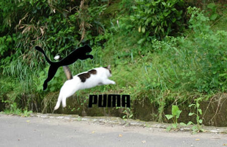 0b7acd0d.jpeg