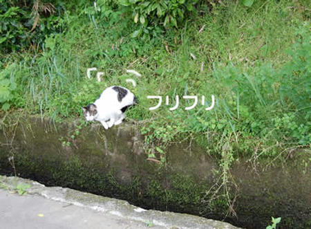 0.jpg