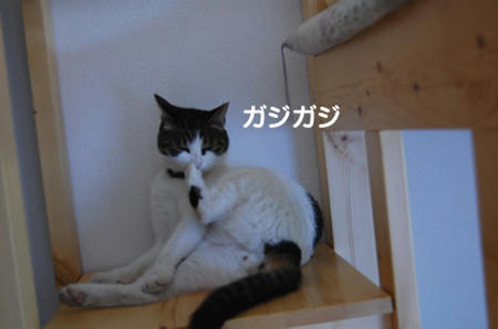 3f5538df.jpeg