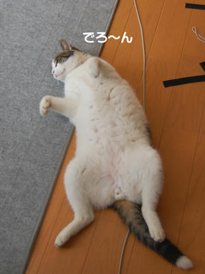 1e061ac0.jpeg