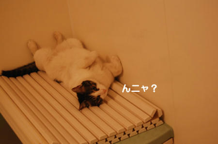 ac70827d.jpeg