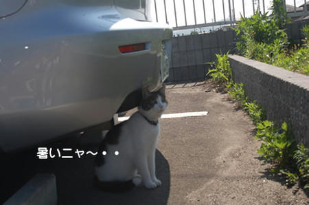 325814f5.jpeg