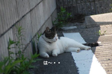 47d8145a.jpeg