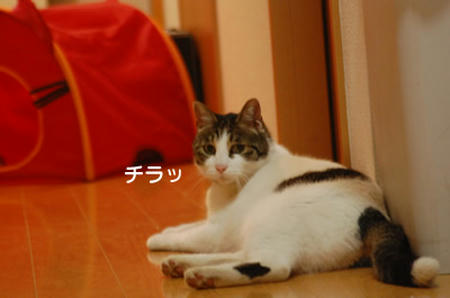 481117b0.jpeg
