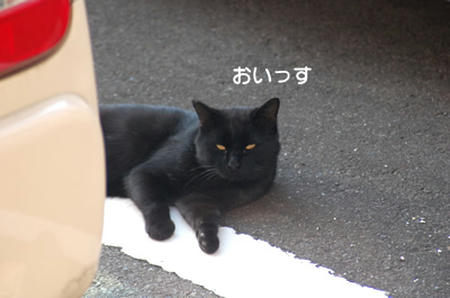12232733.jpeg