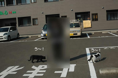 c8208000.jpeg