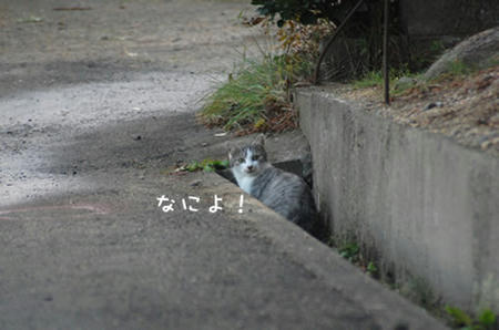 7844d387.jpeg