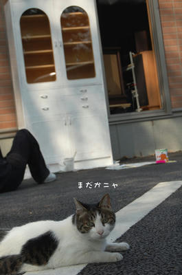 7f08d728.jpeg
