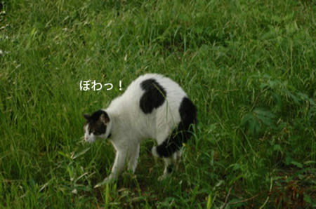 95a08f07.jpeg