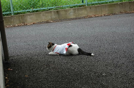 DSC_1896.jpg