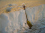 2008pht0205_008.jpg