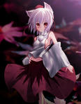 799c6a02.jpg