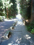 200909071306000.jpg