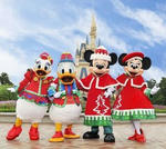 TDL2011