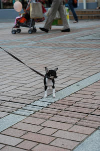 DSC_0048.jpg