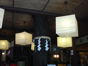 DSC00106.JPG