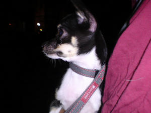 DSC00105.JPG