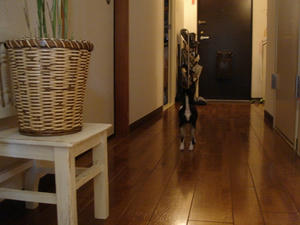 DSC00973.jpg