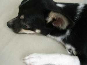 DSC00983.jpg