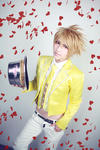 slove500gianIMG_5651.jpg