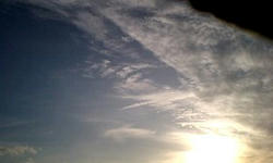e9b78273.jpg