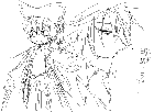 8d657684.gif