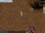 10050703.jpg