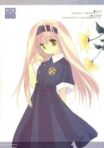 wff2.jpg