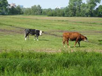 080521-10R.JPG