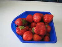 IMG_2969R.JPG