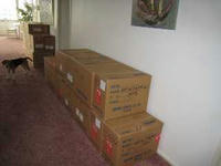 IMG_3061R.JPG