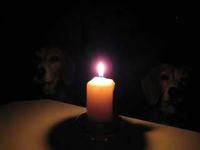 080620-24R.JPG