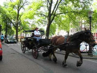 IMG_3339R.JPG