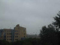 IMG_3853R.JPG