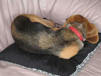 080721-1R.JPG
