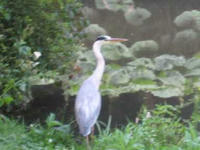 IMG_3770R.JPG