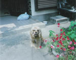 94d6221f.jpg
