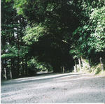 82cf4c74.jpg