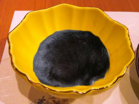 sy_050.jpg