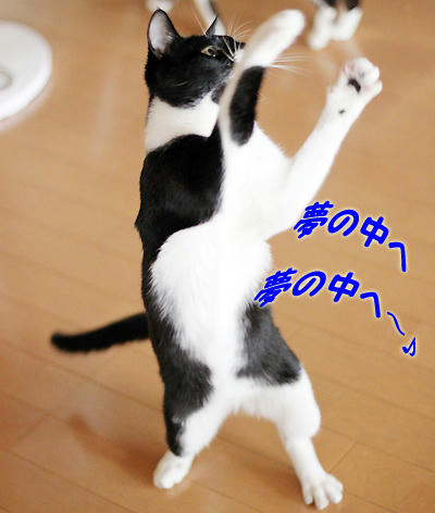 201007140942242af.jpg