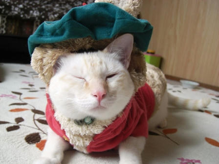2009.11.11.jpg