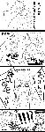 a1731f33.gif