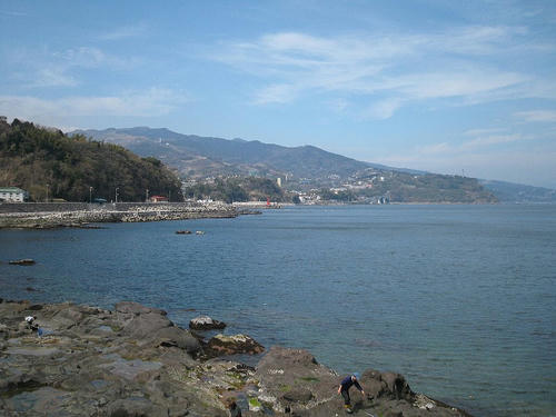 IMG_0667.jpg