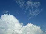 DSCF9199.jpg