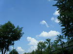 DSCF9172.jpg