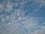 IMG_0119.jpg