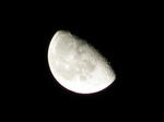 IMG_0081.jpg