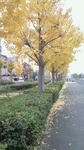 NEC_0032.jpg