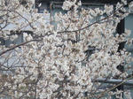 BLOG3277.JPG